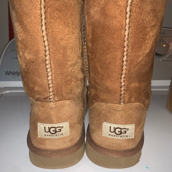 chestnut color uggs
